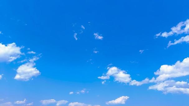 青空4 青空4の写真