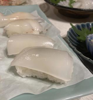 Squid nigiri sushi, JPG