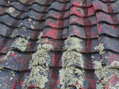 苔の生えた廃屋の瓦 瓦,屋根,瓦屋根の写真素材