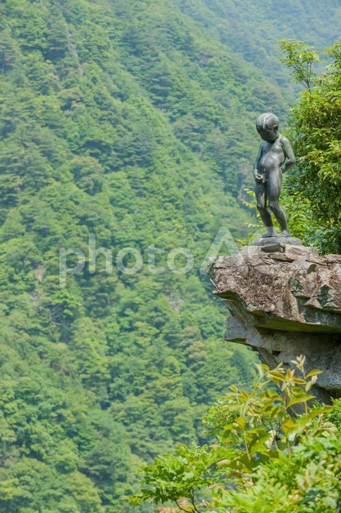 祖谷渓、名物！新緑の小便小僧 小便小僧,絶景,断崖の写真素材