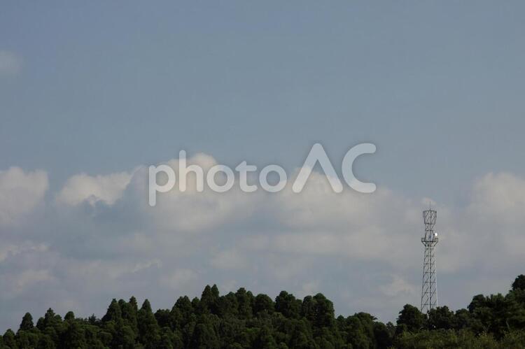 森と青空と電波塔 森,青空,空の写真素材
