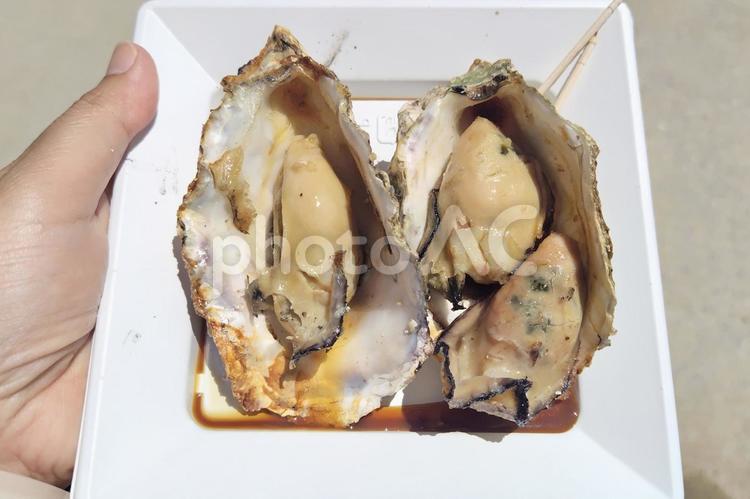 殻付き焼き牡蠣 牡蠣,貝,食べ物の写真素材