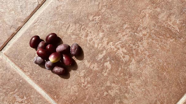 黒いオリーブ、コピースペース 黒いオリーブ、コピースペース オリーブ,黒,ブラックの写真素材