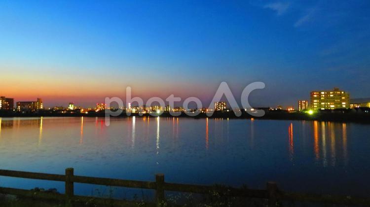 ６月上旬の野田池の夕暮れ 背景,夕暮れ,たそがれの写真素材