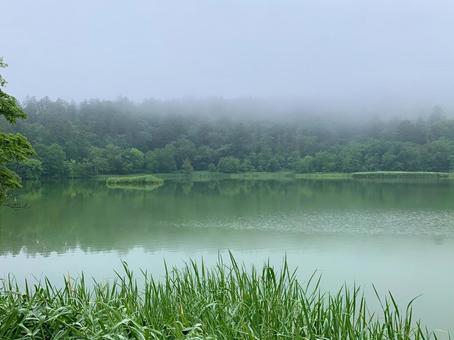 小雨降る朝 霧,もや,靄の写真素材