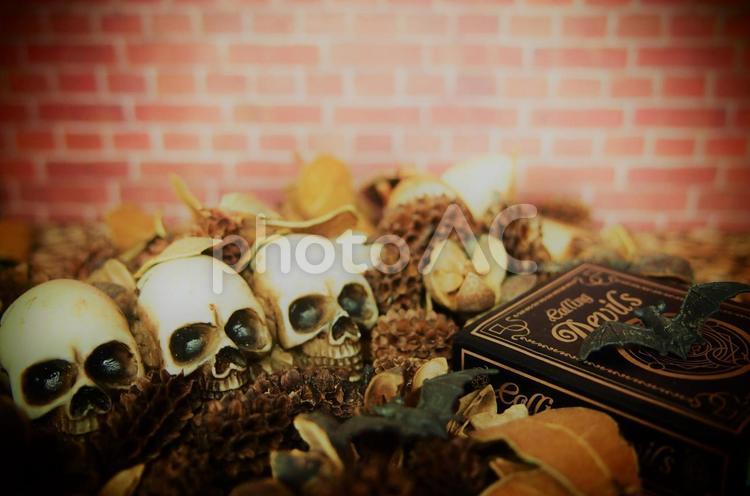 ハロウィン～ドクロと悪魔の魔法書 ハロウィン,ドクロ,コウモリの写真素材