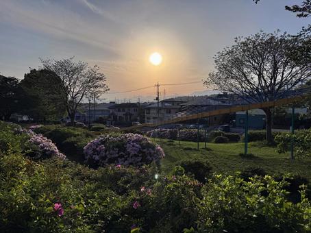 夕日のこうぼうふじみ公園 夕日のこうぼうふじみ公園の写真