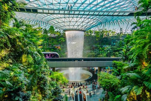 【シンガポール】ジュエル チャンギ空港 シンガポール,ジュエル,チャンギ空港の写真素材