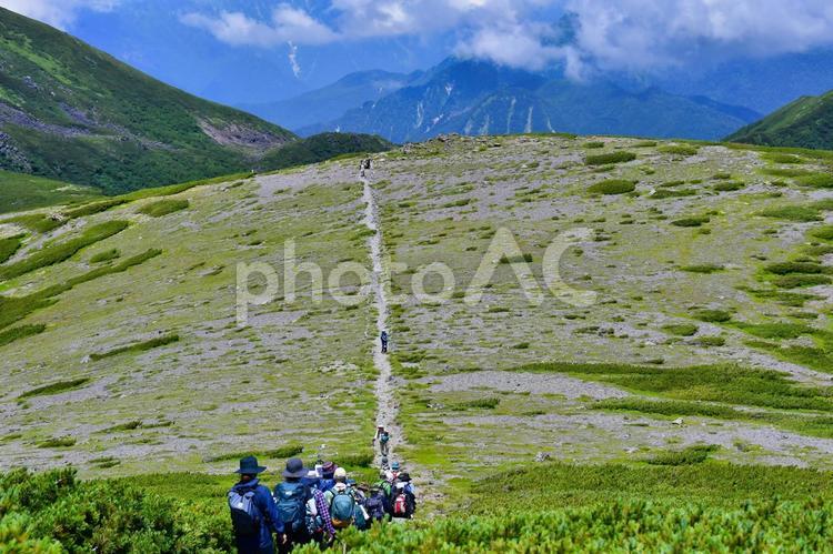 乗鞍畳平でトレッキングを楽しむ トレッキング,乗鞍岳,ハイマツの写真素材