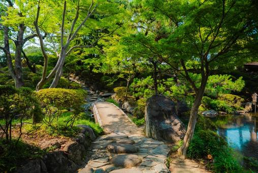 【和歌山】和歌山城 2025 【和歌山】和歌山城 2025の写真