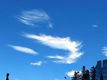 【M】エビのような形の雲と空 雲,空,青の写真素材