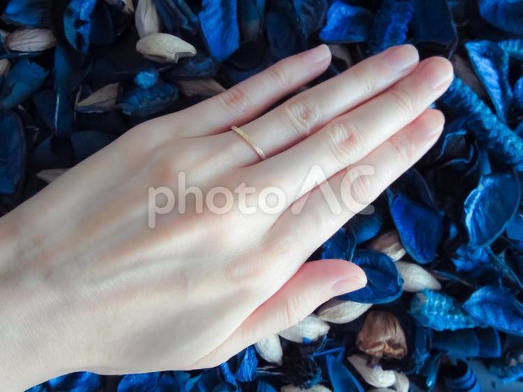 金の結婚指輪とサムシングブルー 結婚指輪,金,金色の写真素材