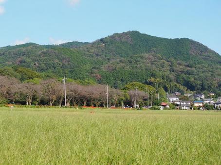 曼珠沙華公園付近の草地&山並み(日高市) 曼珠沙華公園付近の草地&山並み(日高市) 秋,草地,丘陵の写真素材