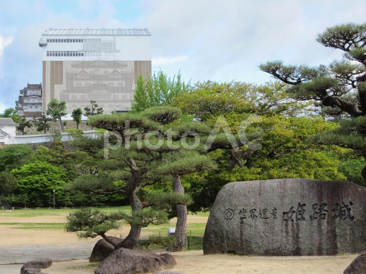 姫路城修繕 木,自然,旅の写真素材
