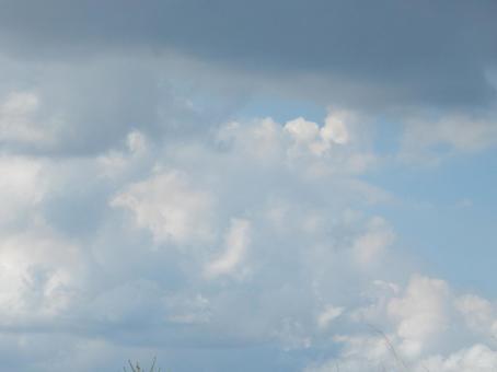 【風景写真】夏空 【風景写真】夏空の写真