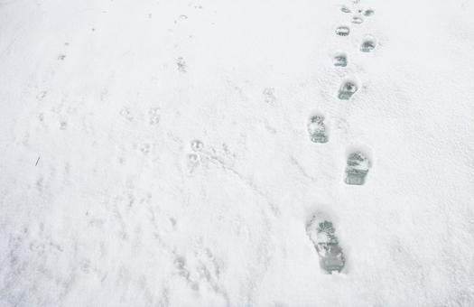 雪の上の足跡5 雪の上の足跡5 雪,冬,足跡の写真素材