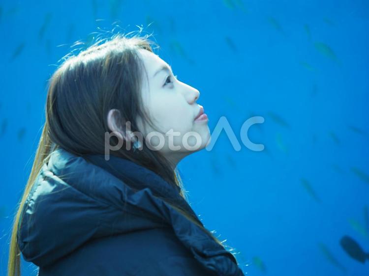 水族館デートの女の子 女の子,水族館,デートの写真素材