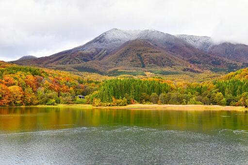 初冠雪の山と鮮やかな紅葉 飯綱高原,初雪,初冠雪の写真素材