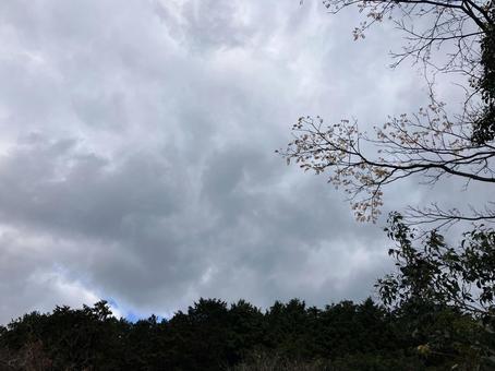 冬の曇り空 冬の曇り空の写真