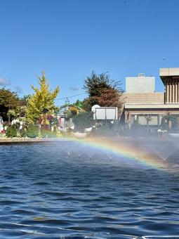 秋の武生中央公園　噴水に虹 虹,レインボー,色鮮やかの写真素材