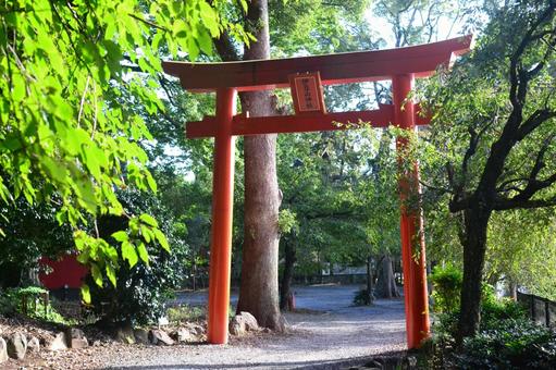 伊豆山神社の鳥居 伊豆山神社,神社,鳥居の写真素材