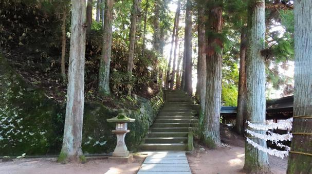 飛騨高山　櫻山八幡宮の境内 飛騨高山,櫻山八幡宮,境内の写真素材