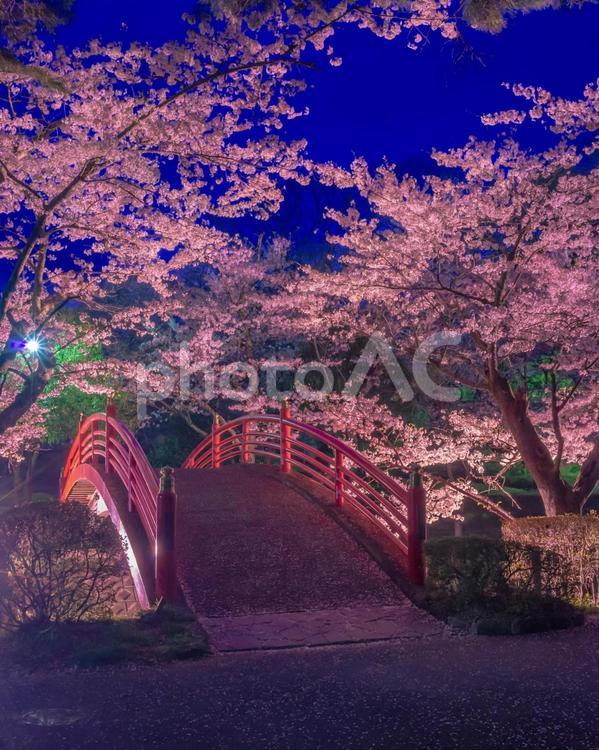 福島県須賀川市　翠ヶ丘公園の春 福島県,須賀川市,須賀川観光の写真素材