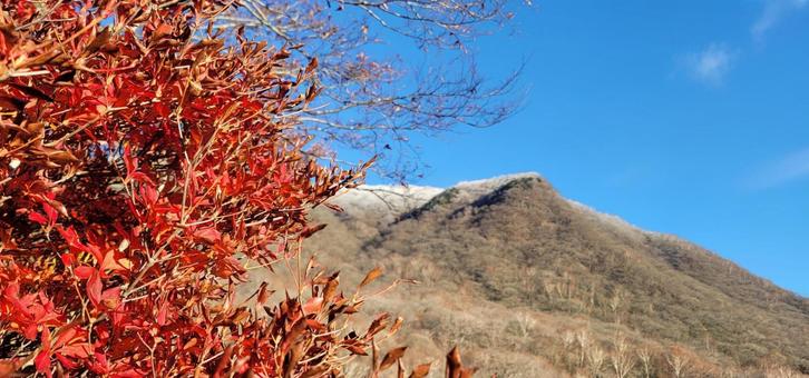 秋の赤城山 背景,モミジ,秋の写真素材