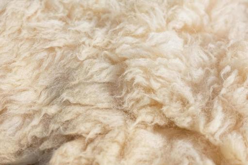 羊毛 羊,ウール,woolの写真素材