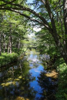 戦場ヶ原 戦場ヶ原 栃木県,日光市,奥日光の写真素材