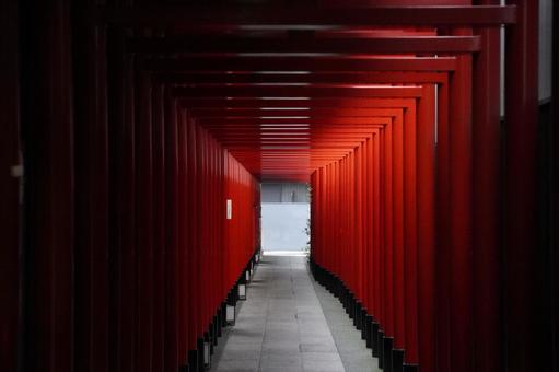 商店街の裏路地 路地,裏路地,鳥居の写真素材