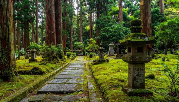 墓地・霊園・お墓 墓地・霊園・お墓の写真