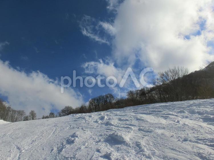 白馬五竜・Hakuba47スキー場の風景 スキー場,冬,雪の写真素材