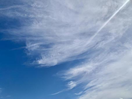 秋の空 秋の空の写真