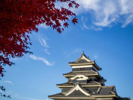 もみじの紅葉と松本城の写真