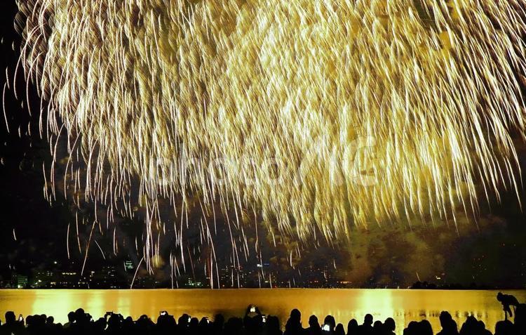 鮮やかな大輪花火/松江水郷祭・エフェクト 花火,大輪,打ち上げ花火の写真素材