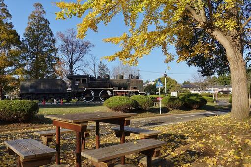 ＜千葉県＞萩原交通公園（茂原市） 萩原交通公園,萩原公園,蒸気機関車の写真素材