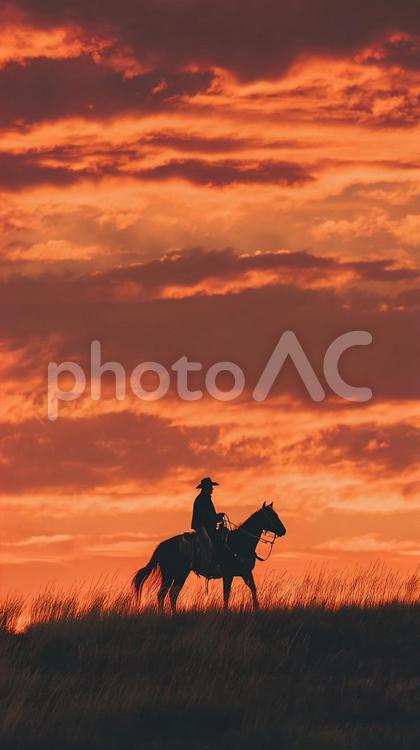 夕焼けに染まるカウボーイ カウボーイ,馬,乗馬の写真素材