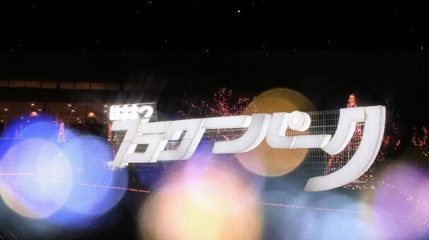 はままつフラワーパーク　イルミネーション イルミネーション,夜景,クリスマスの写真素材