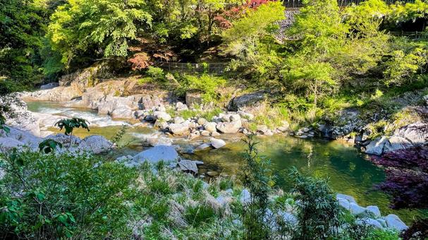 雄淵雌淵公園の奇石渓谷美 雄淵雌淵公園の奇石渓谷美の写真