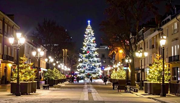 街中のクリスマスツリー イルミネーション 街中のクリスマスツリー イルミネーションの写真