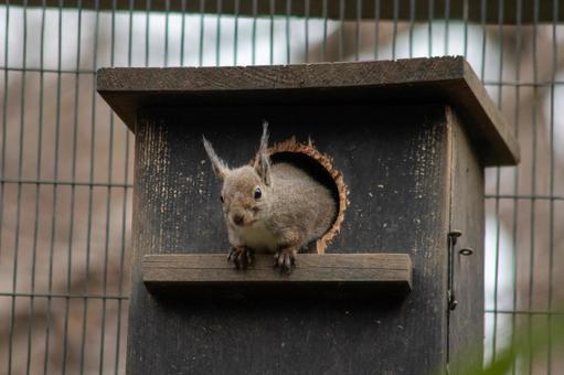三鷹市の動物園 三鷹市の動物園の写真