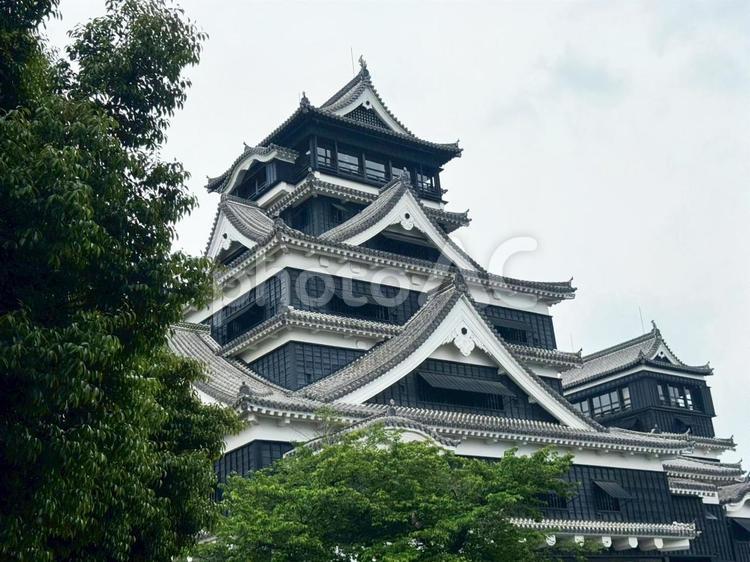 復興後の熊本城天守閣と小天守 熊本城,お城,復興の写真素材