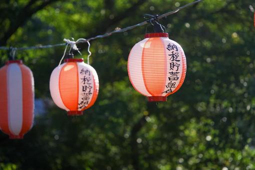 祭りの提灯 祭りの提灯の写真