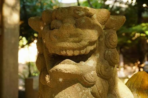 Photo, guardian dog, stone statue, a shrine, 