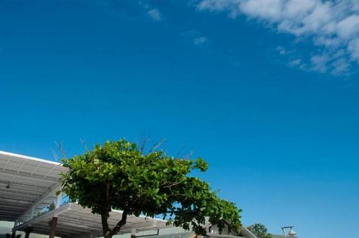 台東の風の写真