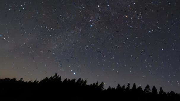森の静寂にはくちょう座が舞う夜 森の静寂にはくちょう座が舞う夜の写真