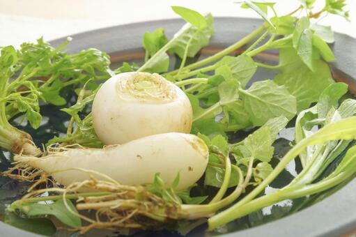 色とりどりの七草粥の食材 春の七草,七草,七草粥の写真素材