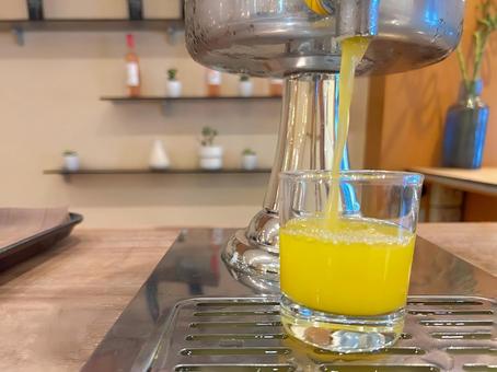 Photo, orange juice, juice, drink, 
