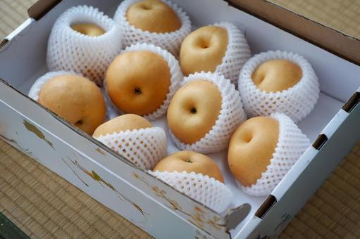 贈答用に並べられた梨のギフトセット 贈答用に並べられた梨のギフトセット 梨,果物,フルーツの写真素材